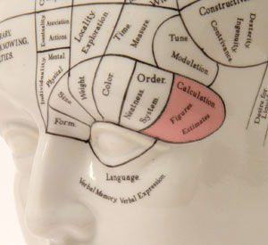 Picture of brain regions