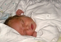DSC00677 cropped - Copy